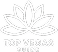 Top Vegas Guide